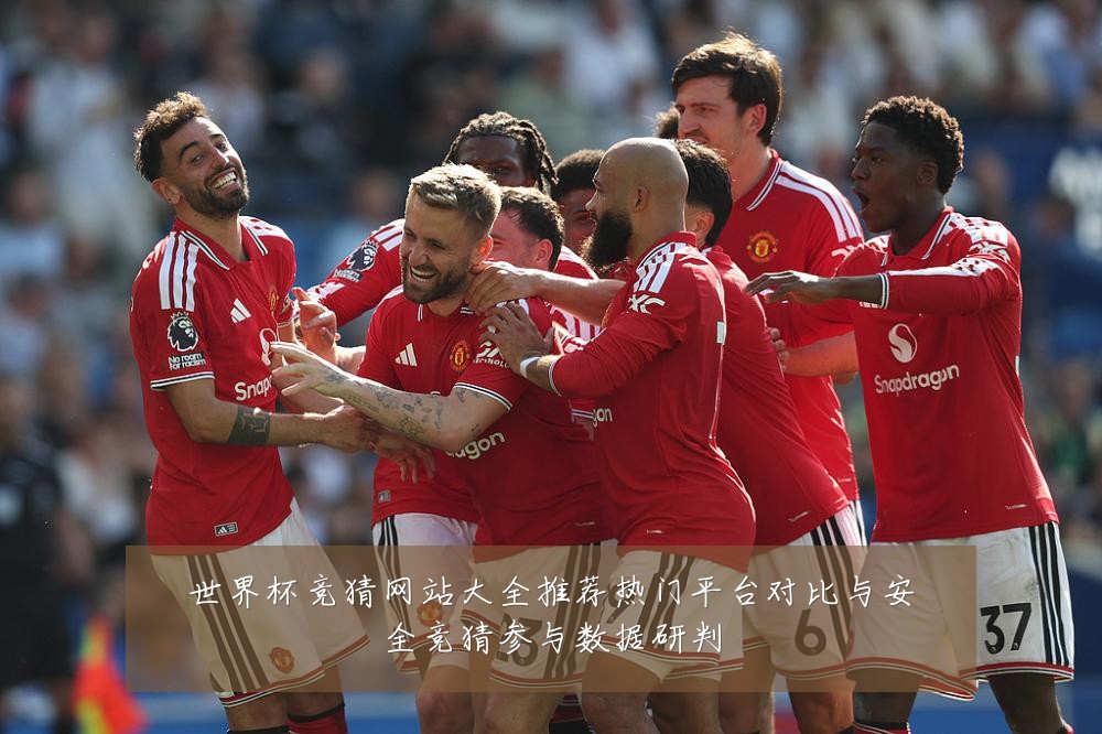 世界杯竞猜网站大全推荐热门平台对比与安全竞猜参与数据研判